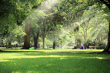 景區(qū)公園氣象站：保障游客安全與提升旅游體驗(yàn)的重要設(shè)施